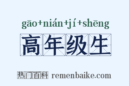 高年级生是什么意思的图片